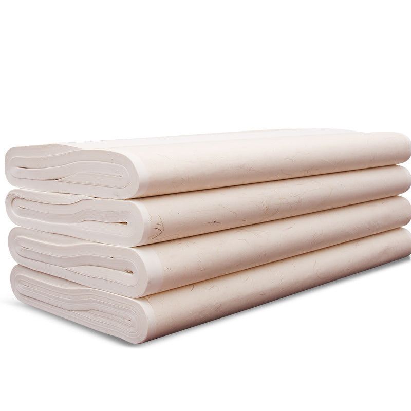 Half-cooked Mica Cooked Xuan Practice Drawing Paper