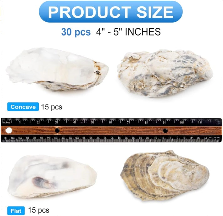 30pcs Oyster Shells With Pearl Bulk Natural Oyster Shells For Crafts DIY Arts Xmas Ornaments