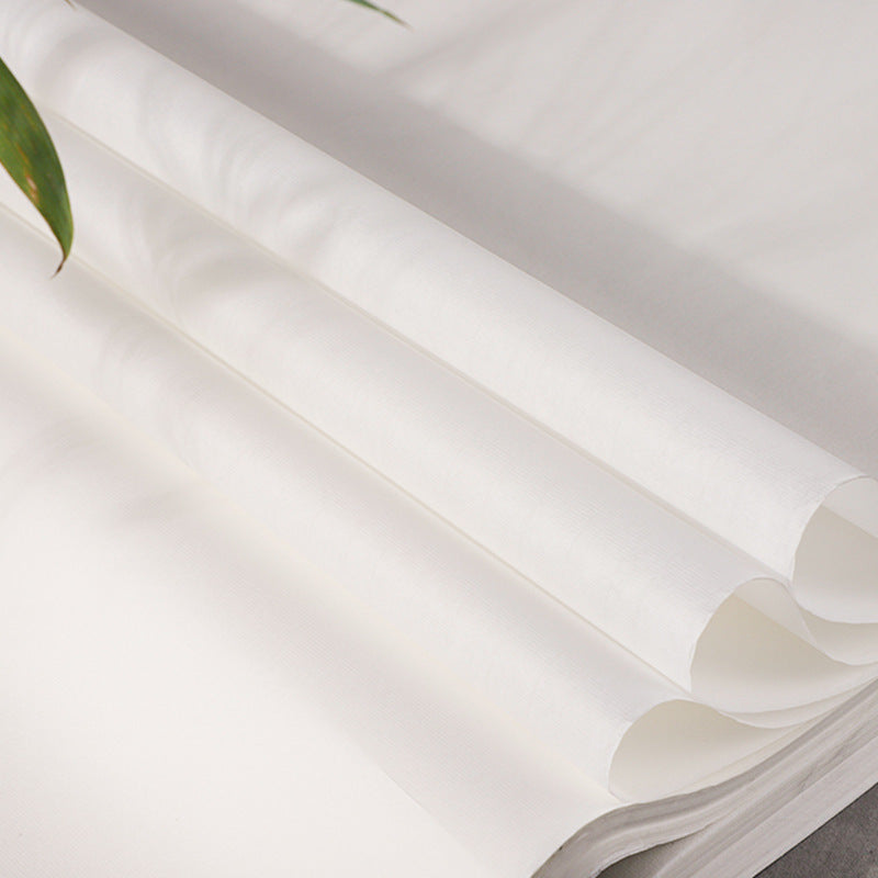 Half-cooked Mica Cooked Xuan Practice Drawing Paper